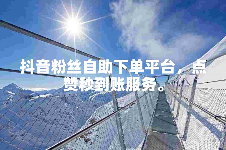 抖音粉丝自助下单平台，点赞秒到账服务。