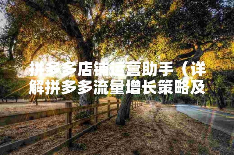 拼多多店铺运营助手（详解拼多多流量增长策略及工具应用）。