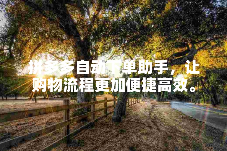 拼多多自动下单助手，让购物流程更加便捷高效。