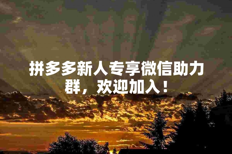 拼多多新人专享微信助力群，欢迎加入！