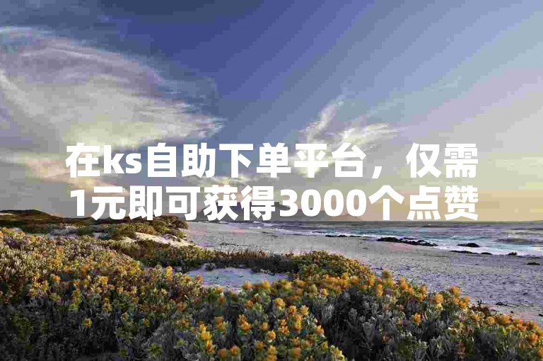 在ks自助下单平台，仅需1元即可获得3000个点赞。