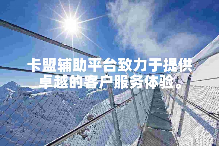 卡盟辅助平台致力于提供卓越的客户服务体验。
