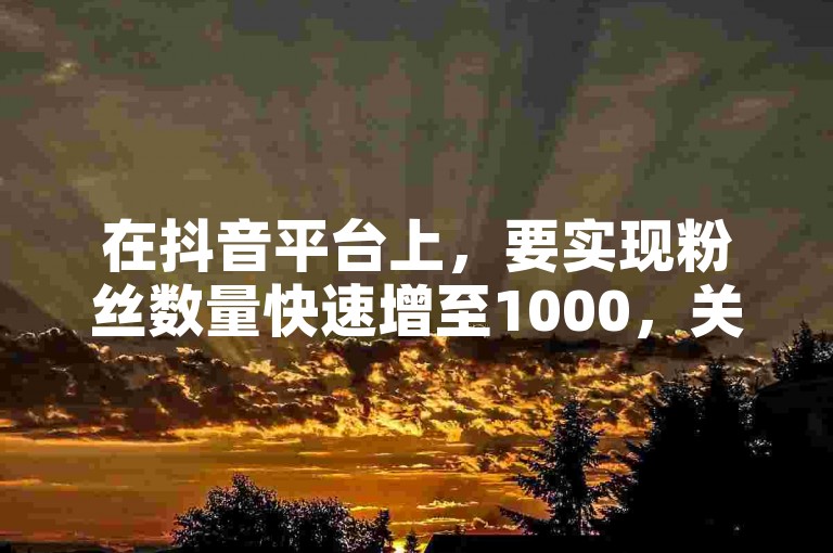 在抖音平台上，要实现粉丝数量快速增至1000，关键在于持续输出优质且独特的内容，精准定位目标受众群体，巧妙运用热门话题与标签吸引流量，同时积极与其他用户互动，提升账号曝光度与影响力。