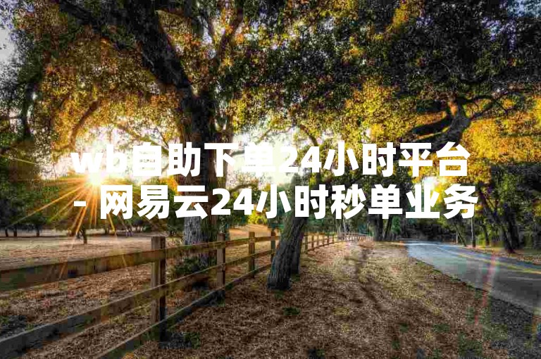 wb自助下单24小时平台 - 网易云24小时秒单业务平台，提供全天候服务。