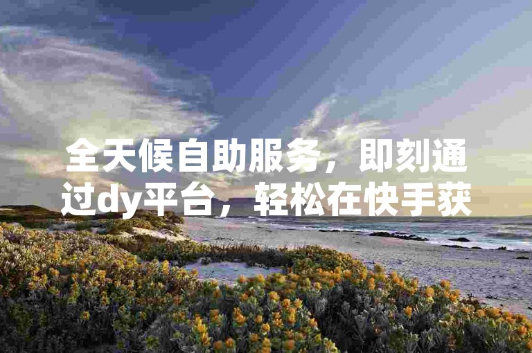 全天候自助服务，即刻通过dy平台，轻松在快手获得50个赞的增长。