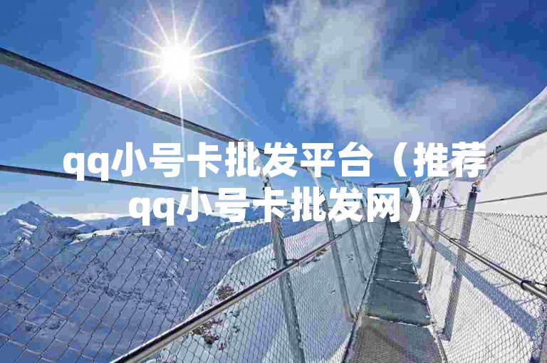 qq小号卡批发平台（推荐qq小号卡批发网）
