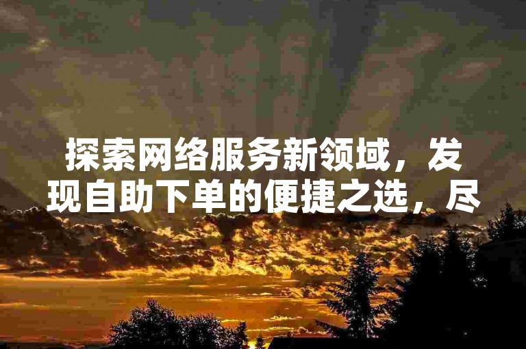 探索网络服务新领域，发现自助下单的便捷之选，尽在ks自助平台，体验低价高效的业务处理。