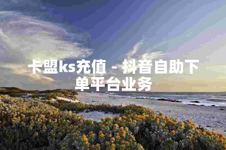 卡盟ks充值 - 抖音自助下单平台业务