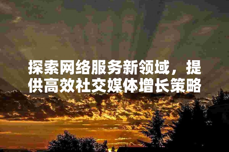 探索网络服务新领域，提供高效社交媒体增长策略，包括微博粉丝快速增加方案和抖音视频推广技巧。