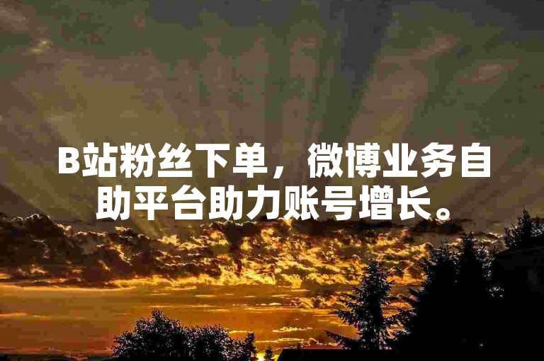 B站粉丝下单，微博业务自助平台助力账号增长。