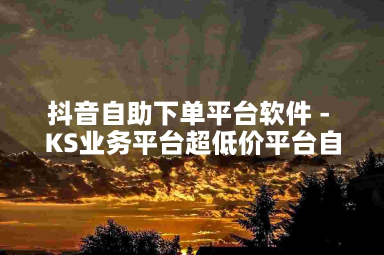 抖音自助下单平台软件 - KS业务平台超低价平台自助下单