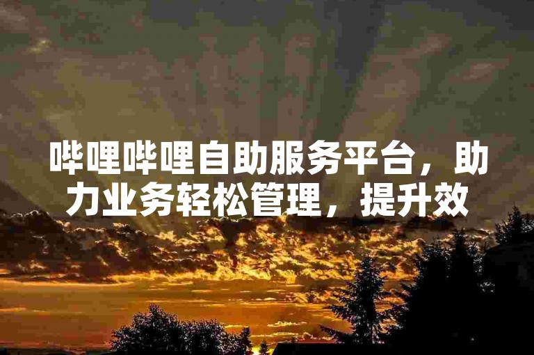 哔哩哔哩自助服务平台，助力业务轻松管理，提升效率无压力！