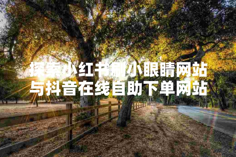 探索小红书刷小眼睛网站与抖音在线自助下单网站的便捷服务，为您的社交媒体影响力加油助力。