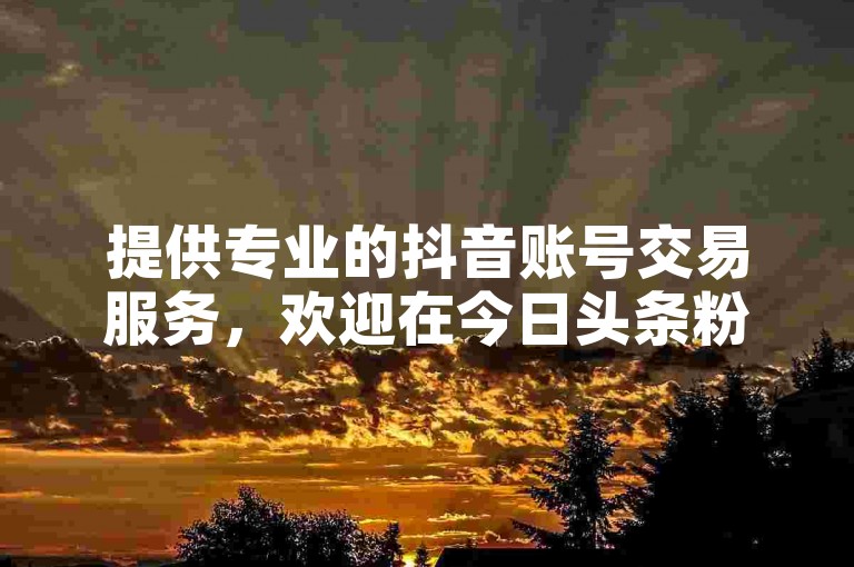 提供专业的抖音账号交易服务，欢迎在今日头条粉丝下单平台选购。