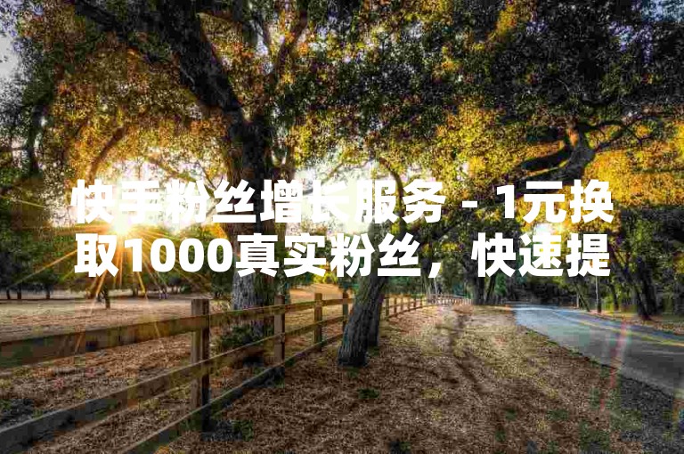 快手粉丝增长服务 - 1元换取1000真实粉丝，快速提升人气的在线平台。
