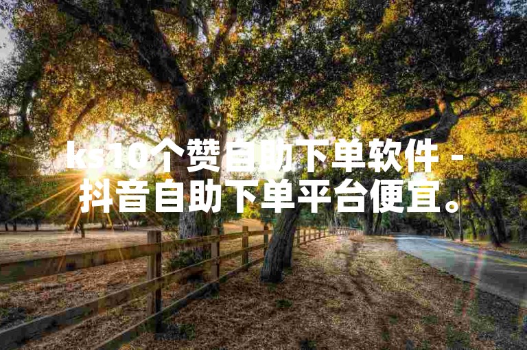 ks10个赞自助下单软件 - 抖音自助下单平台便宜。