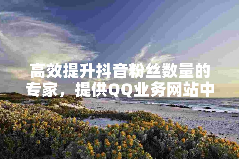 高效提升抖音粉丝数量的专家，提供QQ业务网站中最具性价比的服务，同时微博24小时快速响应秒单业务。
