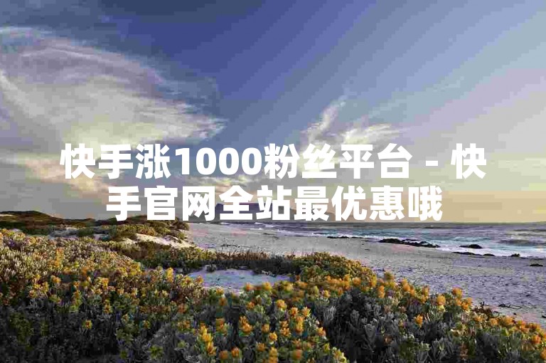 快手涨1000粉丝平台 - 快手官网全站最优惠哦