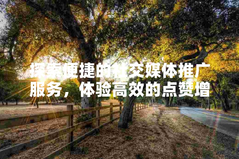 探索便捷的社交媒体推广服务，体验高效的点赞增长 - 立即访问我们的自助下单平台。
