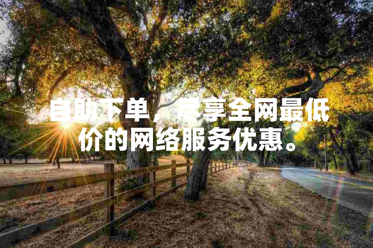 自助下单，尽享全网最低价的网络服务优惠。