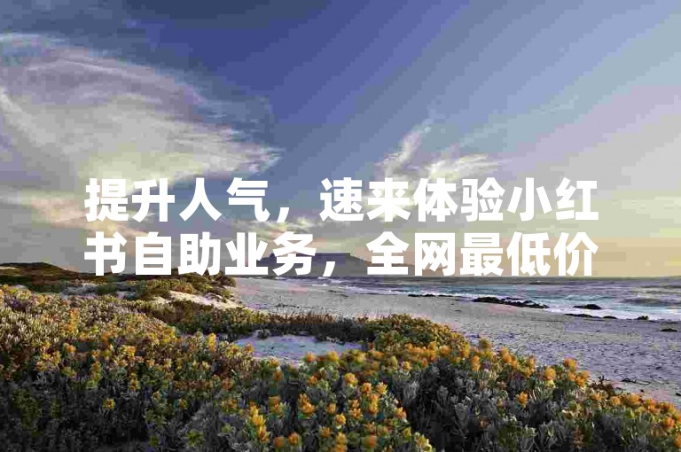 提升人气，速来体验小红书自助业务，全网最低价等你来涨赞！