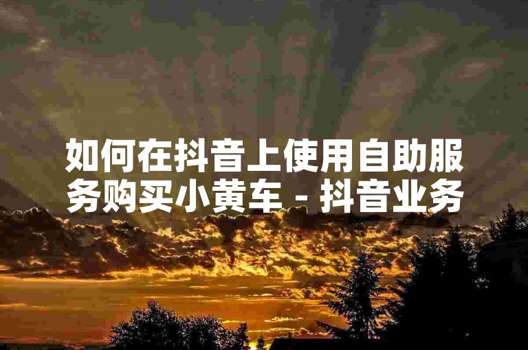 如何在抖音上使用自助服务购买小黄车 - 抖音业务自助下单平台。