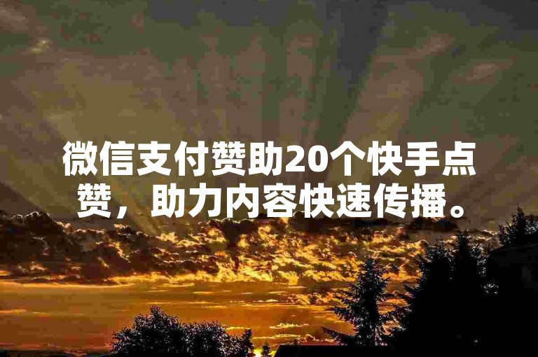 微信支付赞助20个快手点赞，助力内容快速传播。