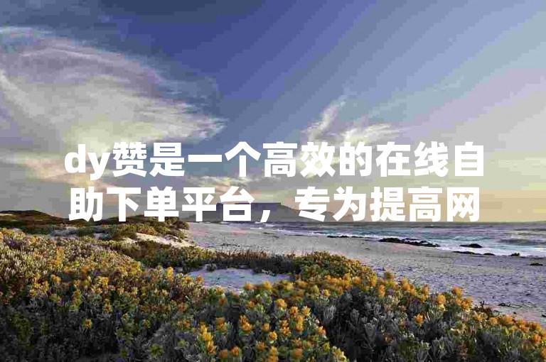 dy赞是一个高效的在线自助下单平台，专为提高网站流量而设计的SEO优化工具。