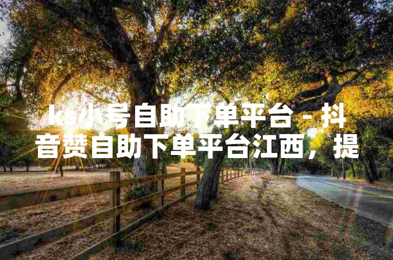 ks小号自助下单平台 - 抖音赞自助下单平台江西，提供便捷的服务。