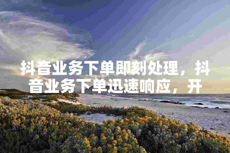 抖音业务下单即刻处理，抖音业务下单迅速响应，开启高效新篇章。