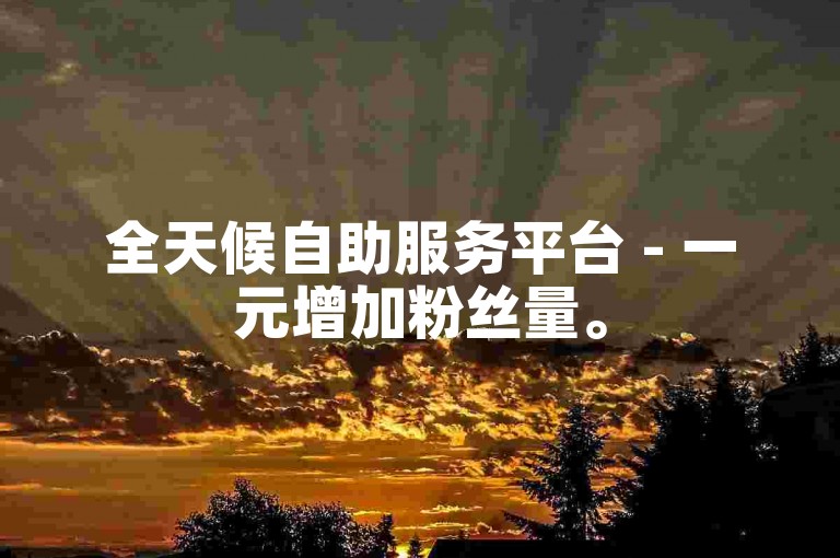 全天候自助服务平台 - 一元增加粉丝量。