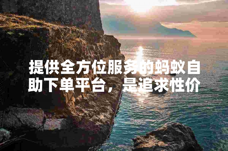 提供全方位服务的蚂蚁自助下单平台，是追求性价比的ks业务首选网站。