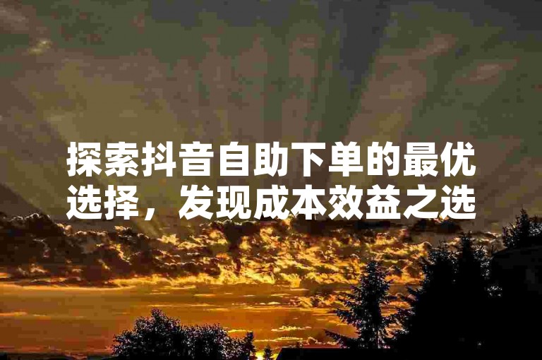 探索抖音自助下单的最优选择，发现成本效益之选。