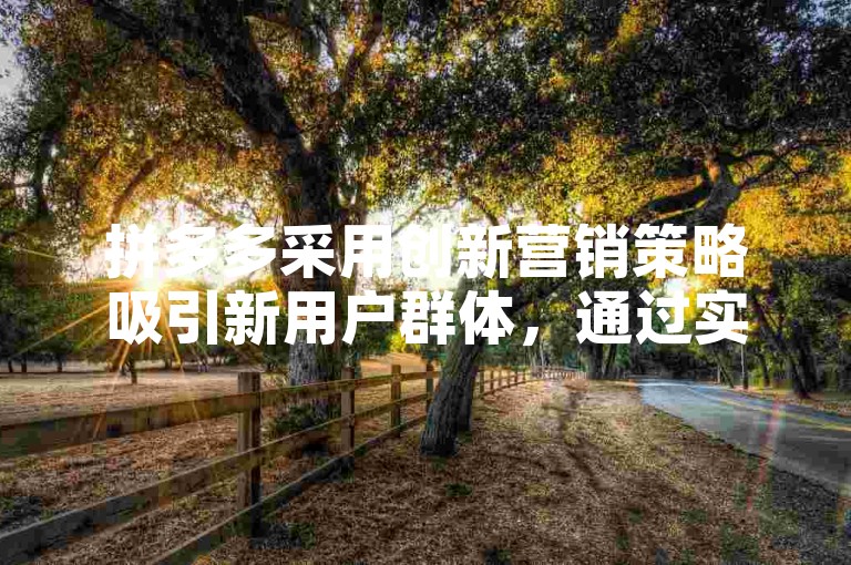 拼多多采用创新营销策略吸引新用户群体，通过实践不断优化其电商模式。