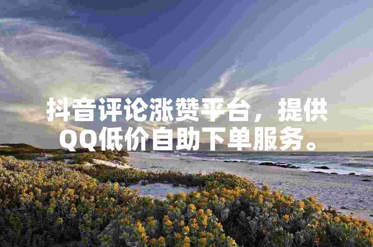 抖音评论涨赞平台，提供QQ低价自助下单服务。