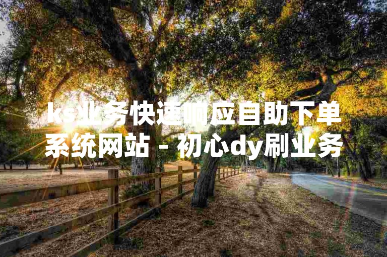 ks业务快速响应自助下单系统网站 - 初心dy刷业务自助下单平台