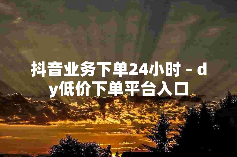 抖音业务下单24小时 - dy低价下单平台入口