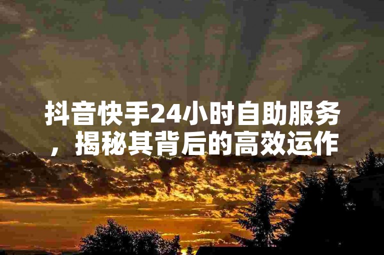 抖音快手24小时自助服务，揭秘其背后的高效运作机制，成为2025年必备的学习技能！