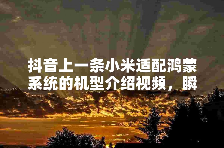 抖音上一条小米适配鸿蒙系统的机型介绍视频，瞬间收获了5000个赞。