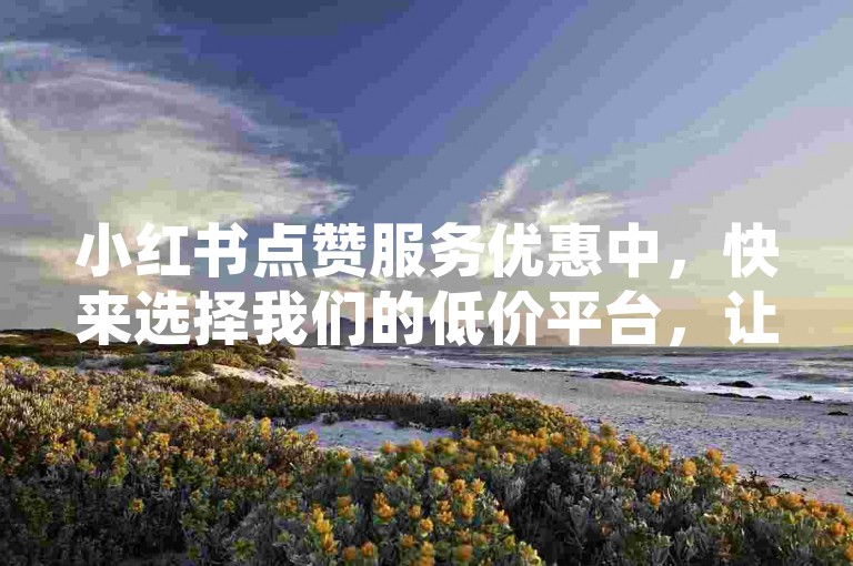 小红书点赞服务优惠中，快来选择我们的低价平台，让您的帖子迅速获得关注！