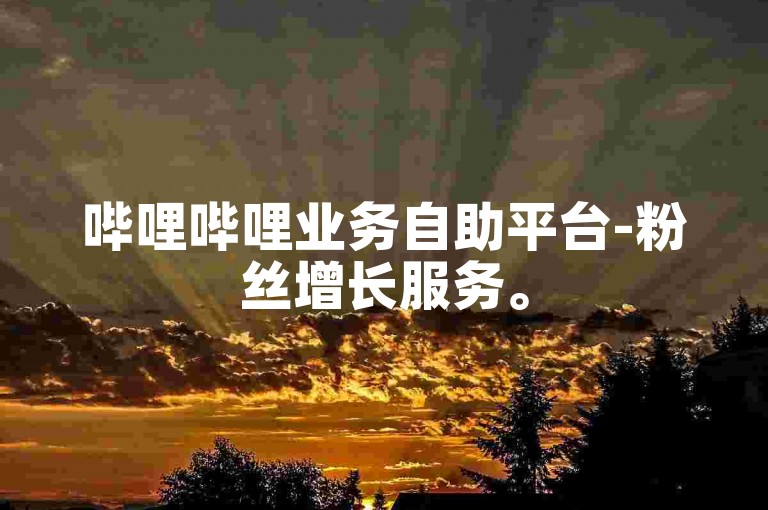 哔哩哔哩业务自助平台-粉丝增长服务。