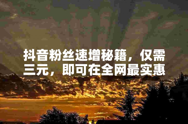 抖音粉丝速增秘籍，仅需三元，即可在全网最实惠的自助下单平台获得五百真实粉丝。