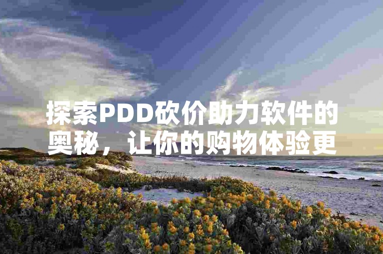 探索PDD砍价助力软件的奥秘，让你的购物体验更加顺畅。