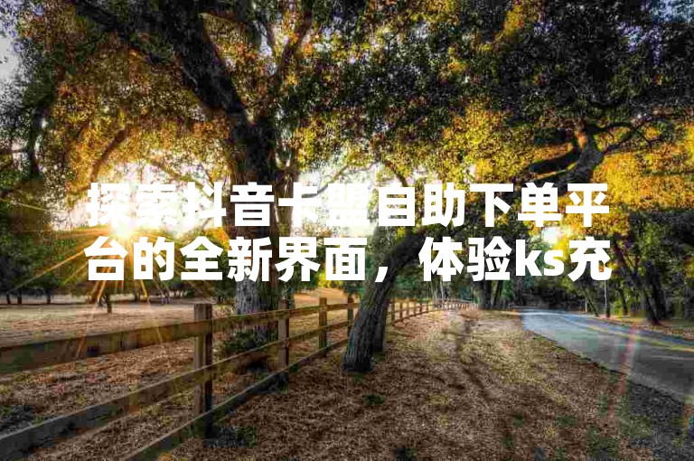 探索抖音卡盟自助下单平台的全新界面，体验ks充粉自助下单首页的便捷服务。