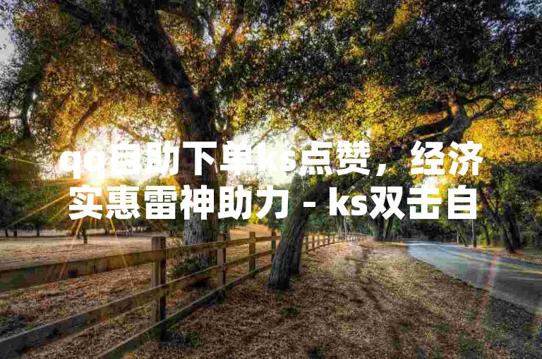 qq自助下单ks点赞，经济实惠雷神助力 - ks双击自助服务