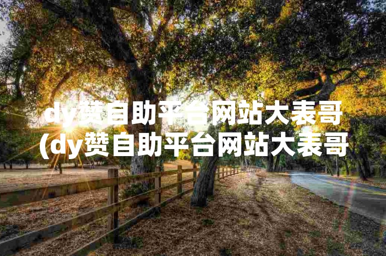 dy赞自助平台网站大表哥(dy赞自助平台网站大表哥 提供丰富的资源和多样化的服务)