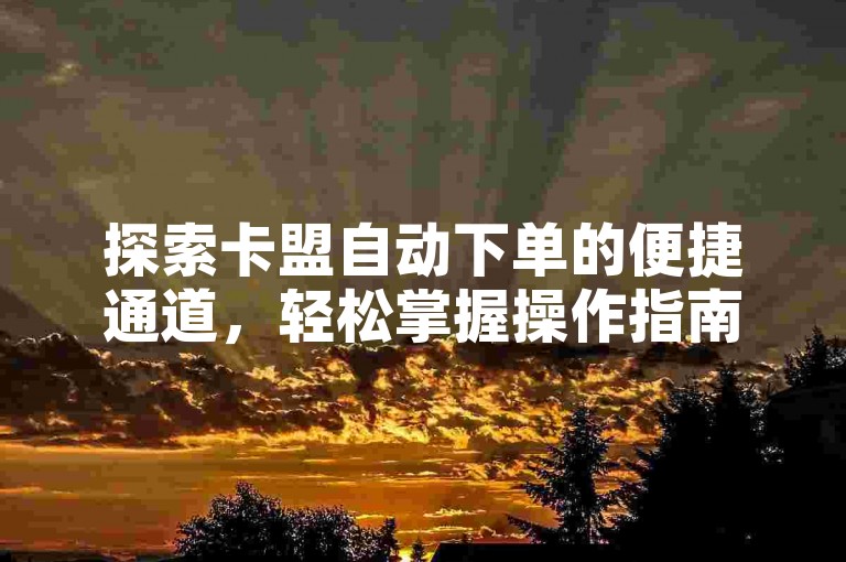 探索卡盟自动下单的便捷通道，轻松掌握操作指南。