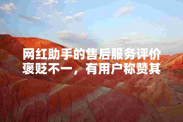 网红助手的售后服务评价褒贬不一，有用户称赞其响应迅速、解决问题高效，也有用户反映存在沟通不畅、处理结果不尽人意的情况。