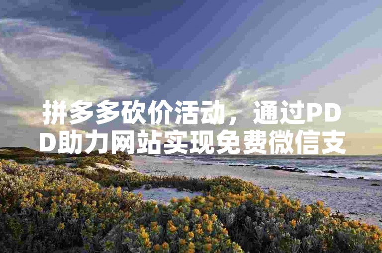 拼多多砍价活动，通过PDD助力网站实现免费微信支付，让购物更加便捷。