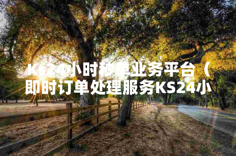 Ks24小时秒单业务平台（即时订单处理服务KS24小时秒单业务）。